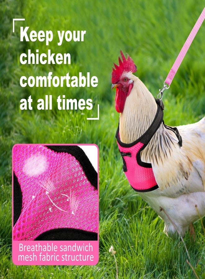 Adhafera Chicken Harness with Leash, Upgraded Double Adjustment Chicken Harness and Leash Set for Hens, Duck, Goose, Small Pet (Pink, S) - Image 5
